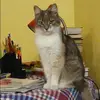 Отзыв от Диана Ершова